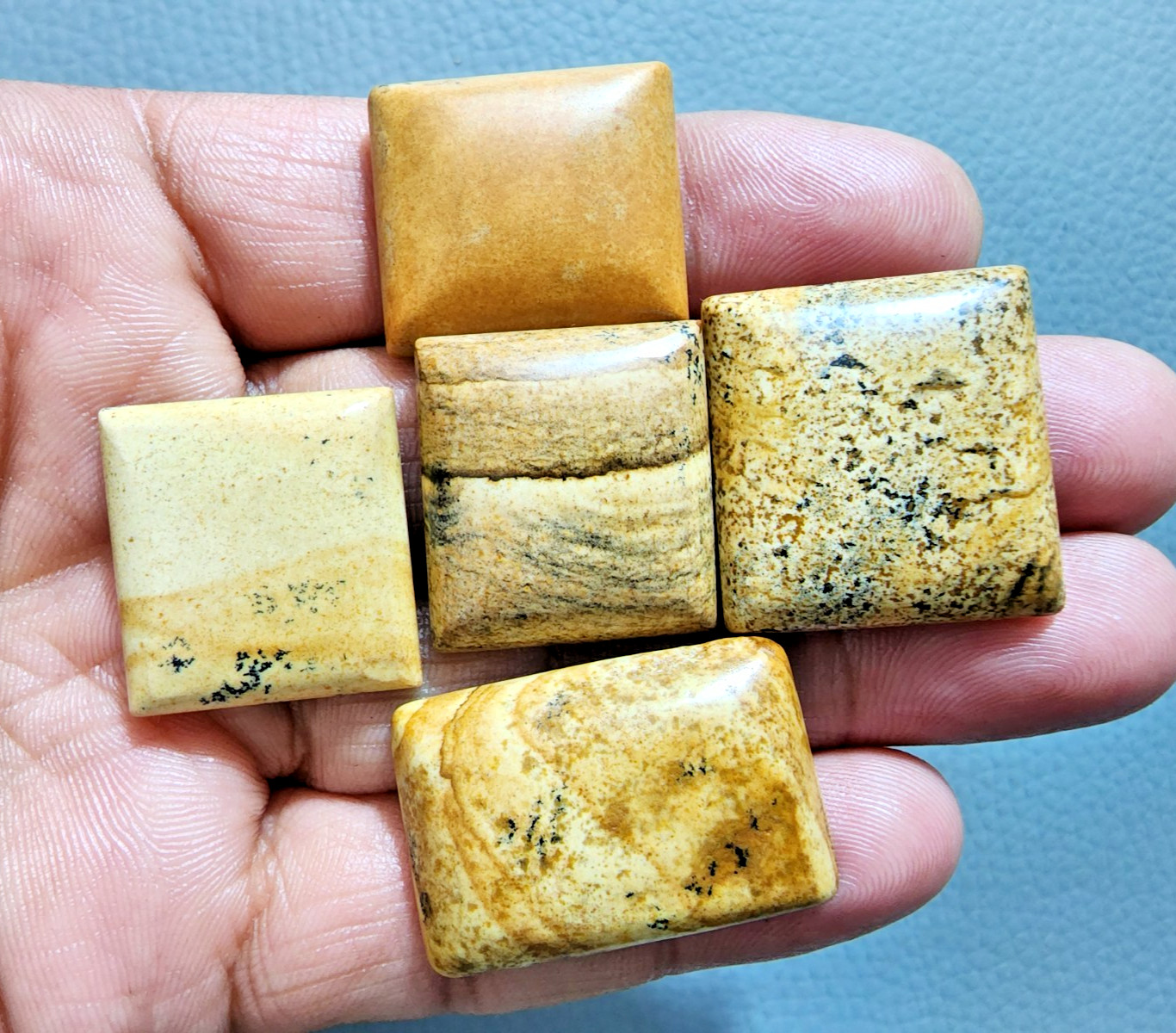 Attractive Picture Jasper Cabochons 5 Pcs Lot Polished Stone Jewelry Making Lot