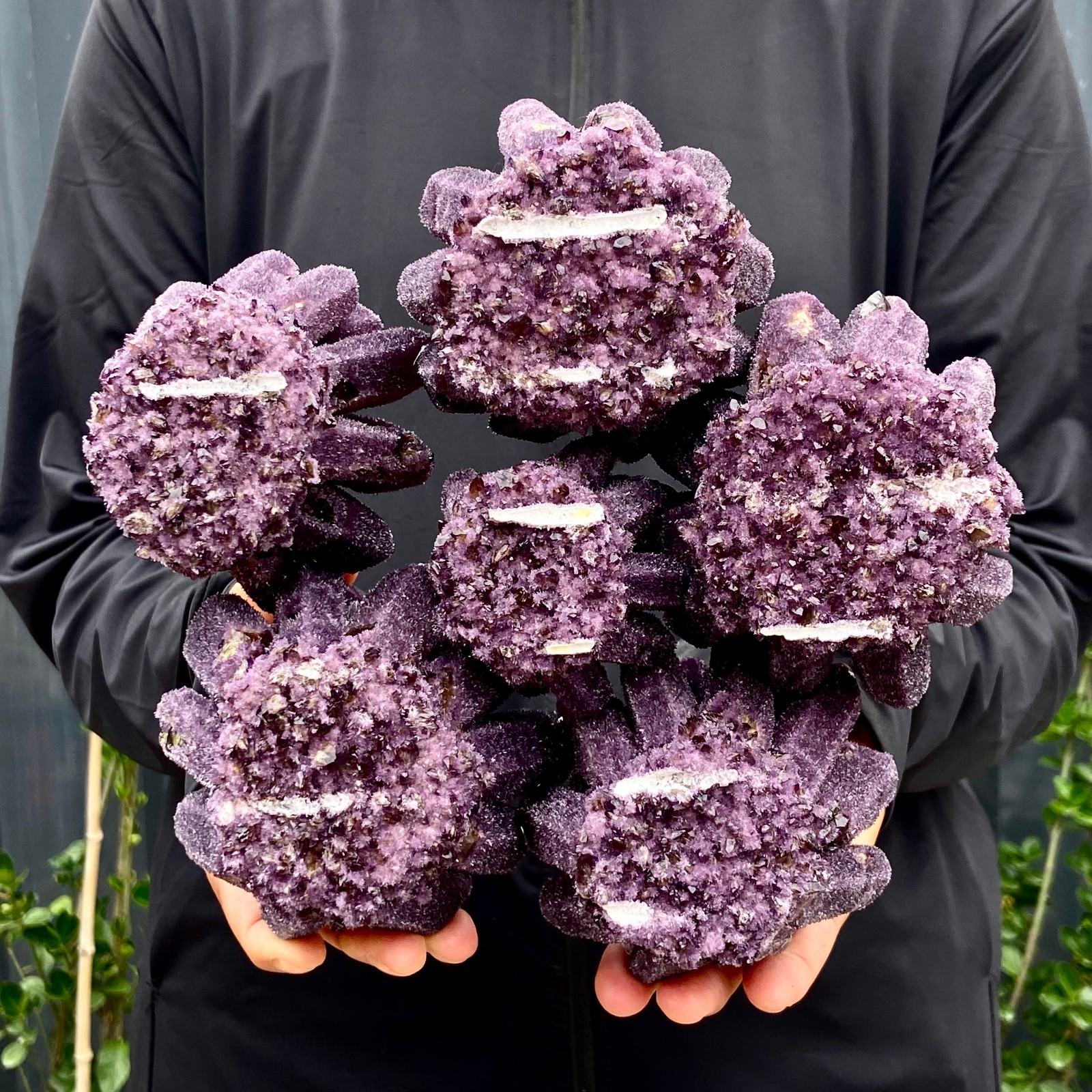 5.68LB New Find purple Phantom Quartz Crystal Cluster Mineral Specimen Healing