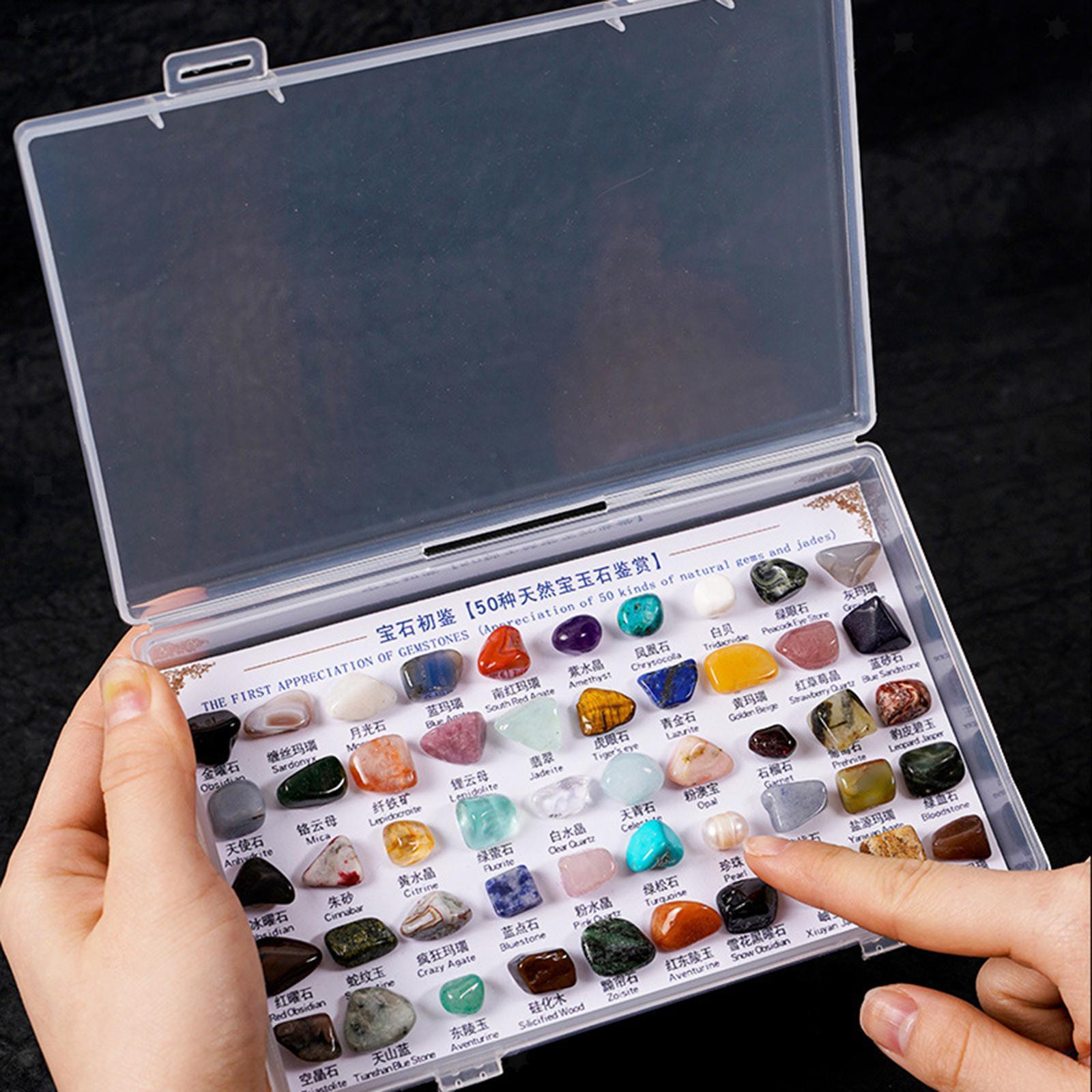 50 Pieces Rocks Collection for Kids Mineral Stones for Display Indoor Craft