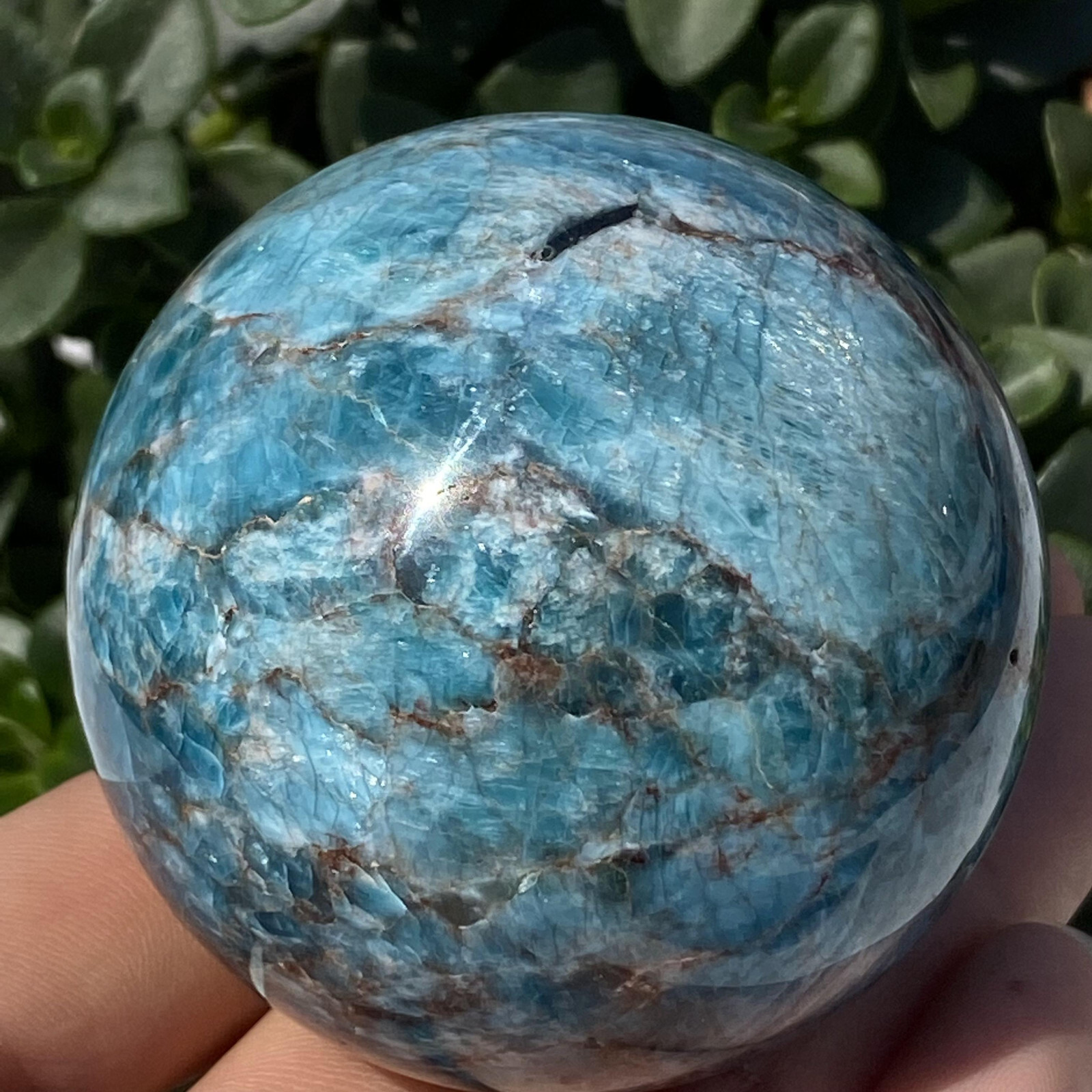 1pc Natural Blue Apatite Ball Sphere Quartz Crystal Mineral Reike Healing 58.7mm
