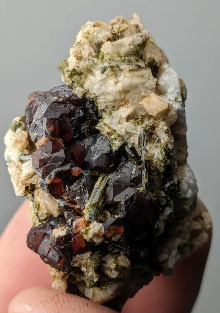 Natural dark brownish red garnet var. andradite cluster with green epidote