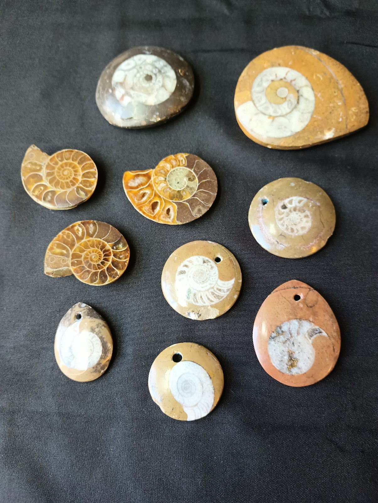 LOT OF 10 POLISHED Ammonite Fossil Conch Crystal Specimens GONIATITE PENDANTS +