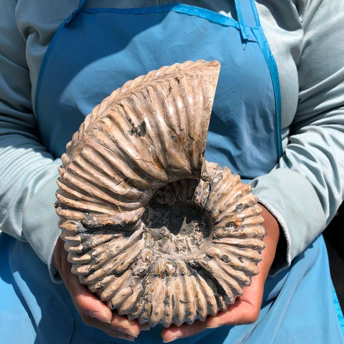 6.84 LB Natural Ammonite Fossil Specimen Home Table Decor Healing Stone 5393