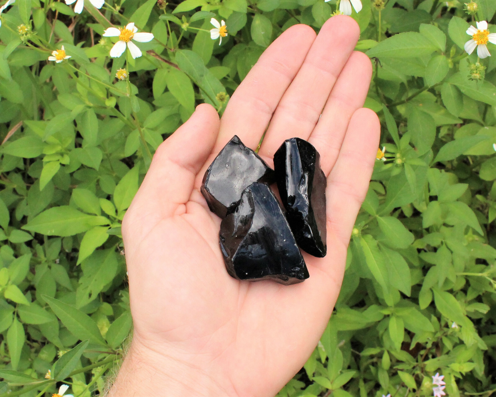 Raw Natural Black Obsidian Crystals: Choose How Many Pieces – Rough Obsidian