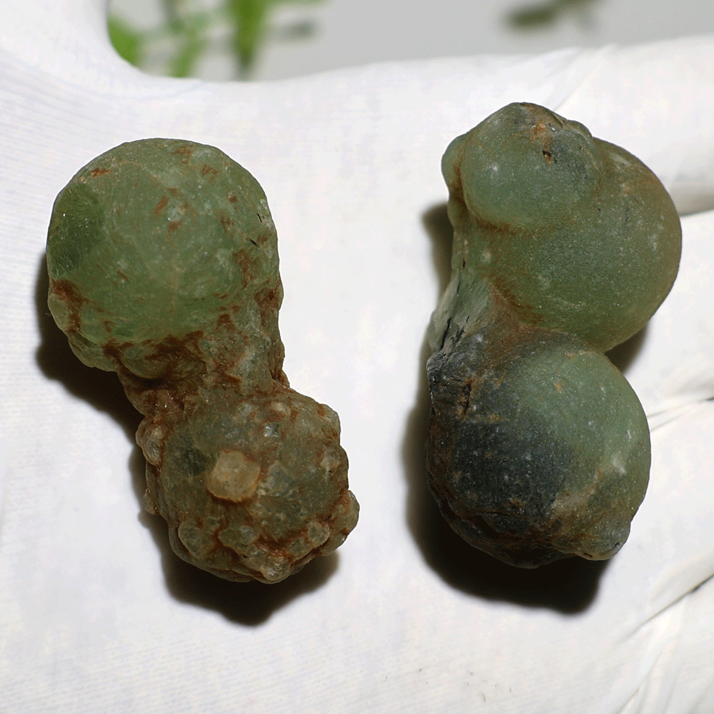 Earth’s Geometry~ 2 PC Ancient Orbs Of Prehnite Rare Mineral Crystal Specimens