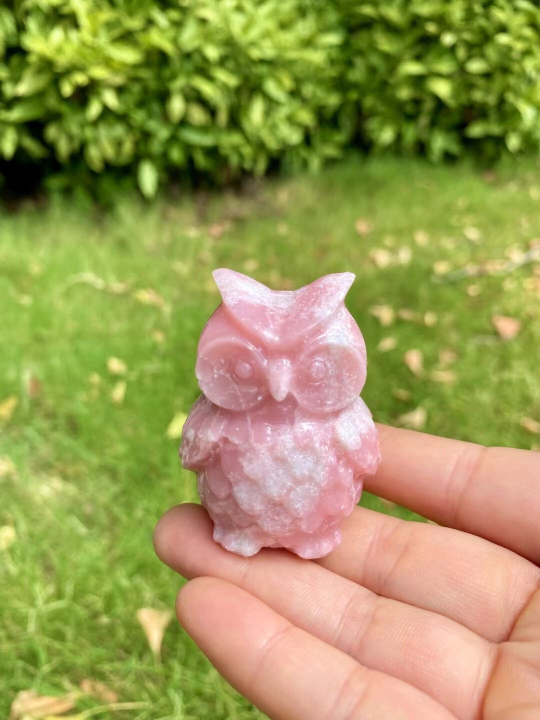 1PC Natural pink opal owl carved Quartz Crystal stone skull Reiki healing gif