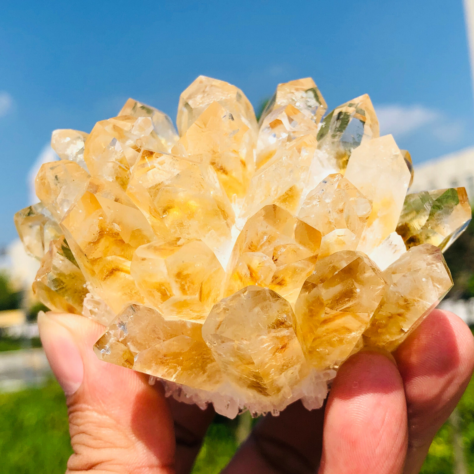 300-400g Yellow Phantom Quartz Citrine Crystal Cluster Mineral Specimen Healing