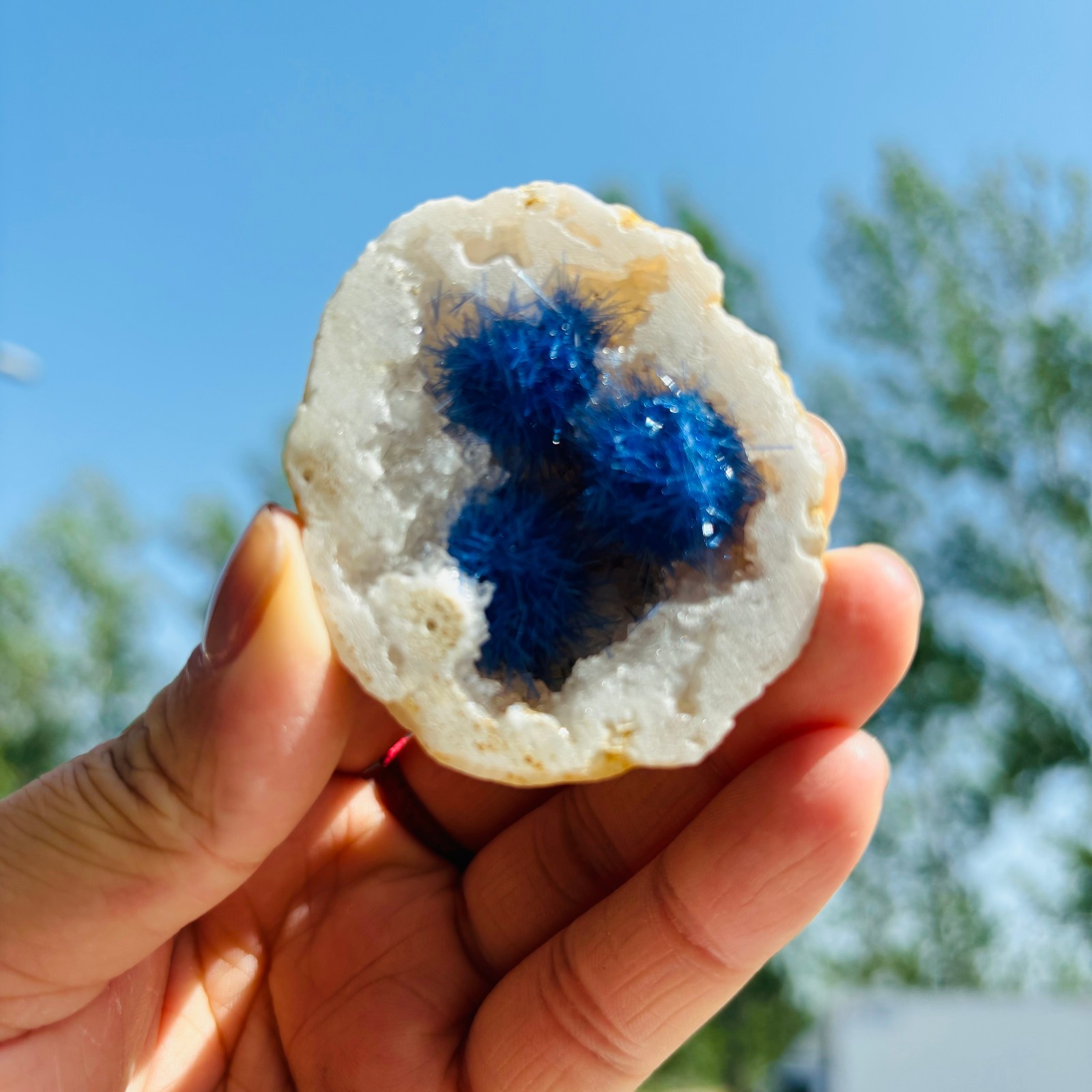 1pc Natural Agate Geode Quartz Crystal Energy Mineral Specimen Reiki Decor