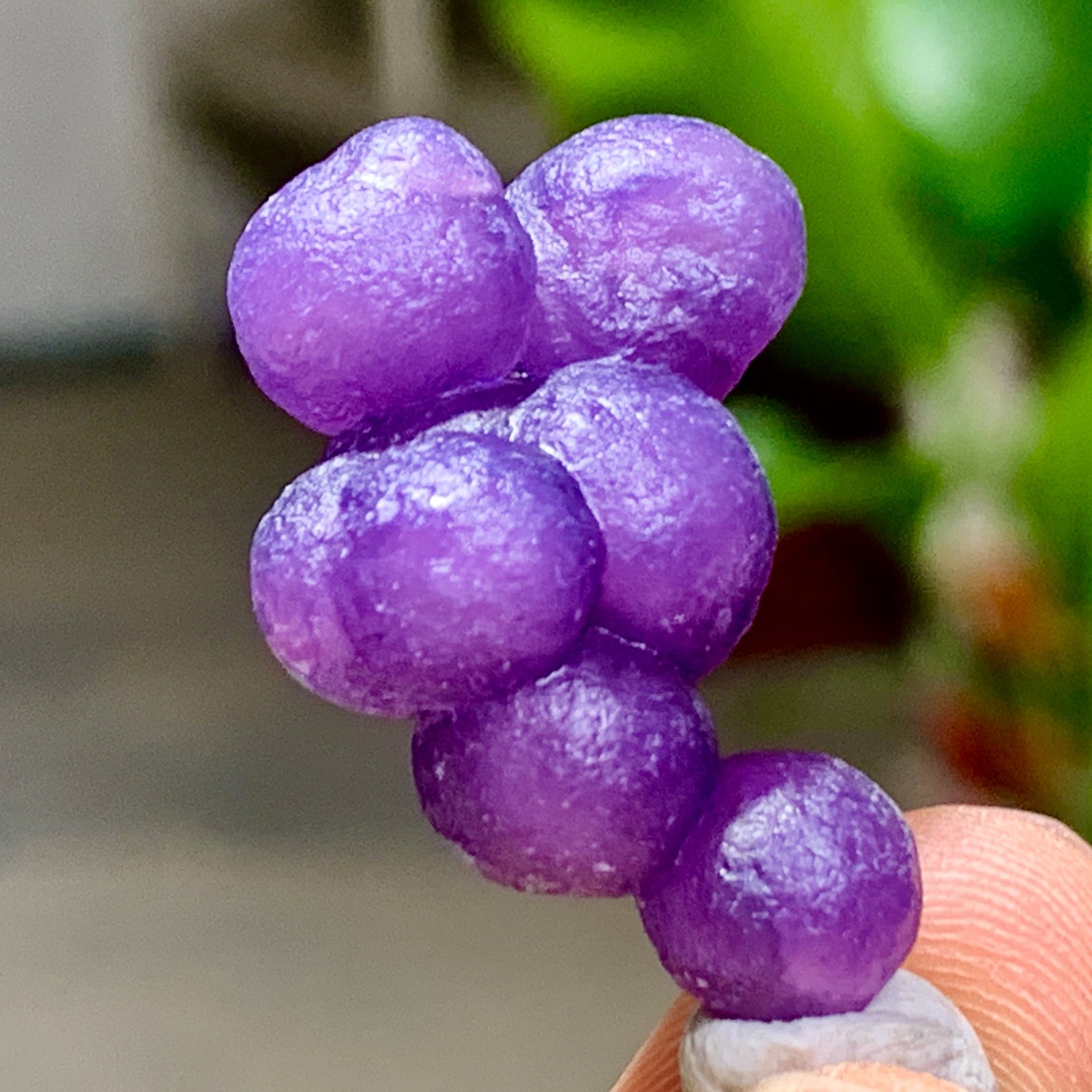 5G Natural purple grape agate quartz crystal granular mineral specimen