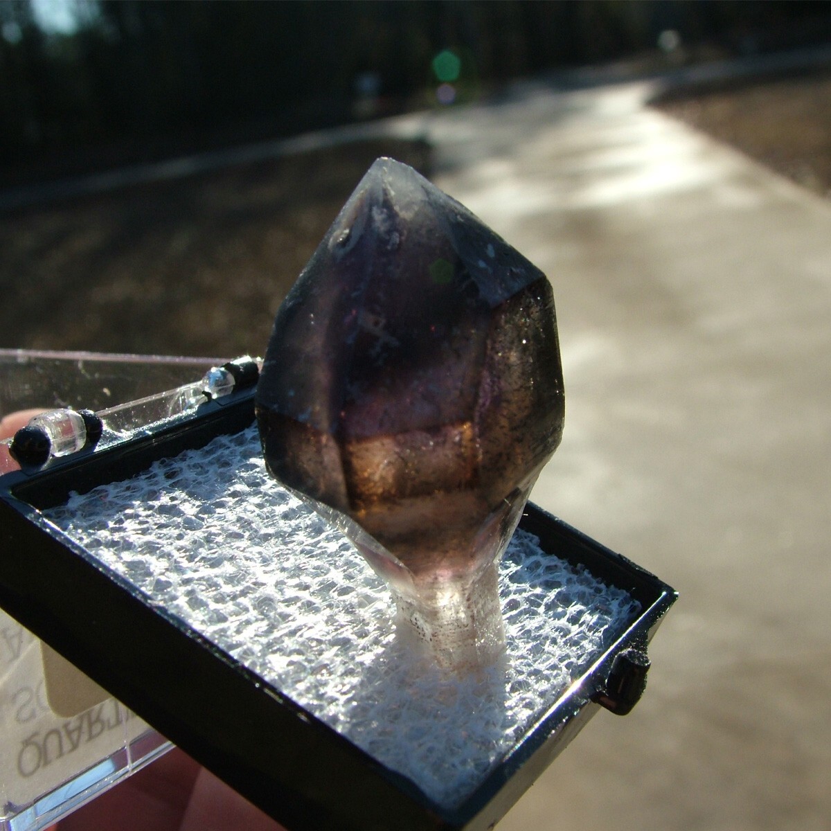 AMETHYST SCEPTER CRYSTAL w HEMATITE STREAMERS perky box ANDILAMENA MADAGASCAR