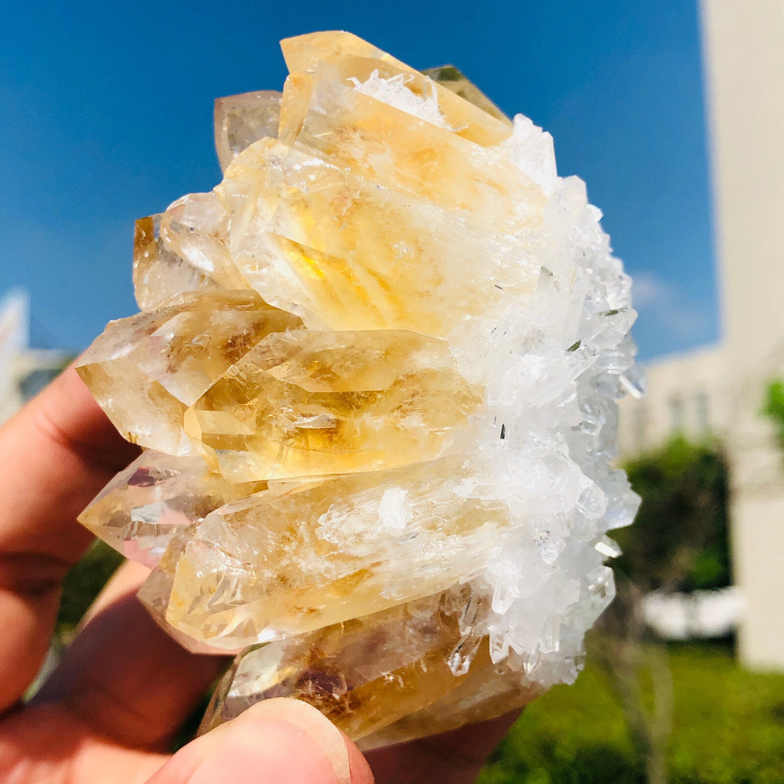 300-400g Yellow Phantom Quartz Citrine Crystal Cluster Mineral Specimen Healing
