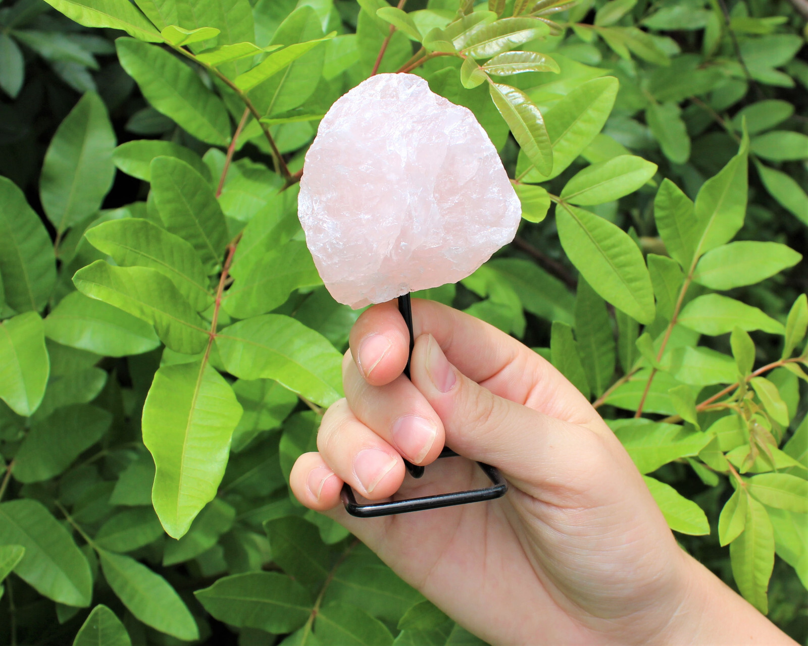 Rose Quartz On Metal Stand (Free Standing Rough Rose Quartz Crystal Mini Pin)