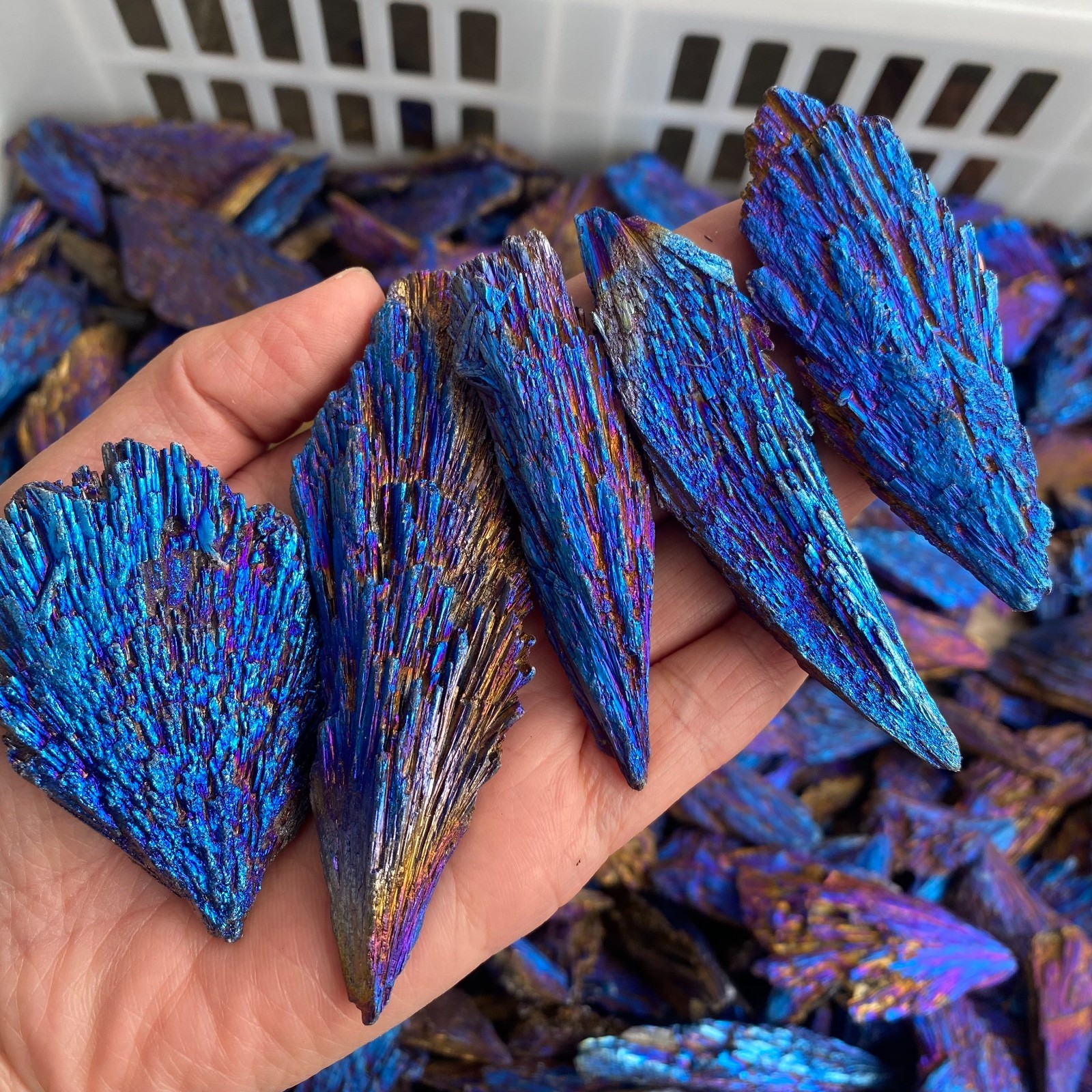 500g Aura Electroplated Kyanite Titanium Stone Crystal Cluster Specimen