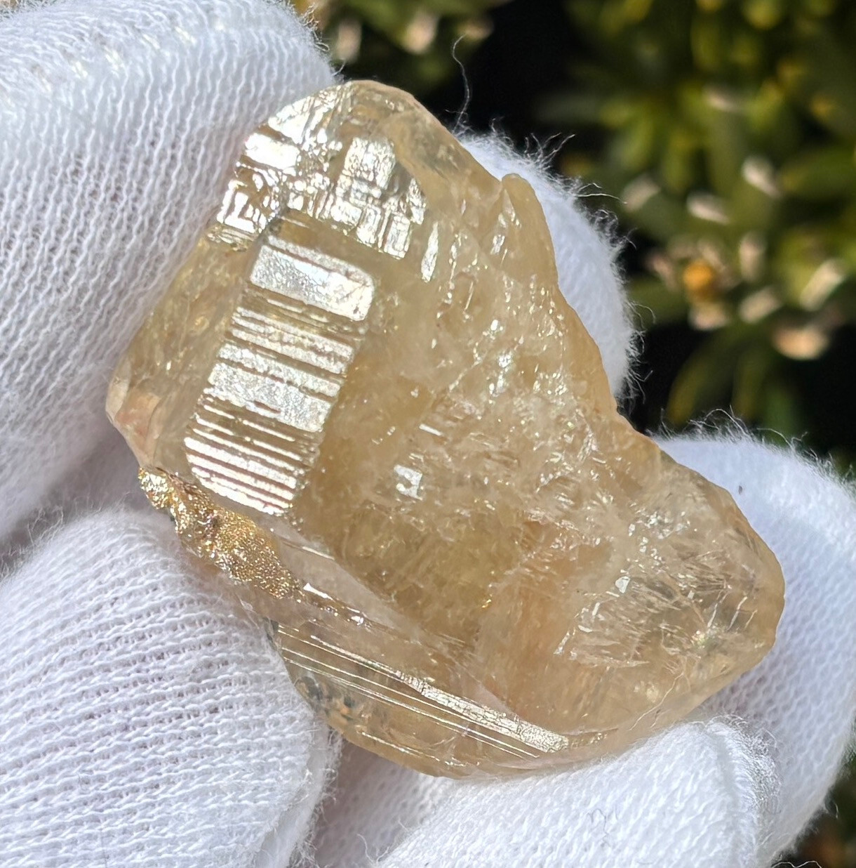 USA SALE SEE VIDEO 31g ETCHED CERUSSITE CERRUSITE CERRUSSITE CRYSTAL GALENA BARI