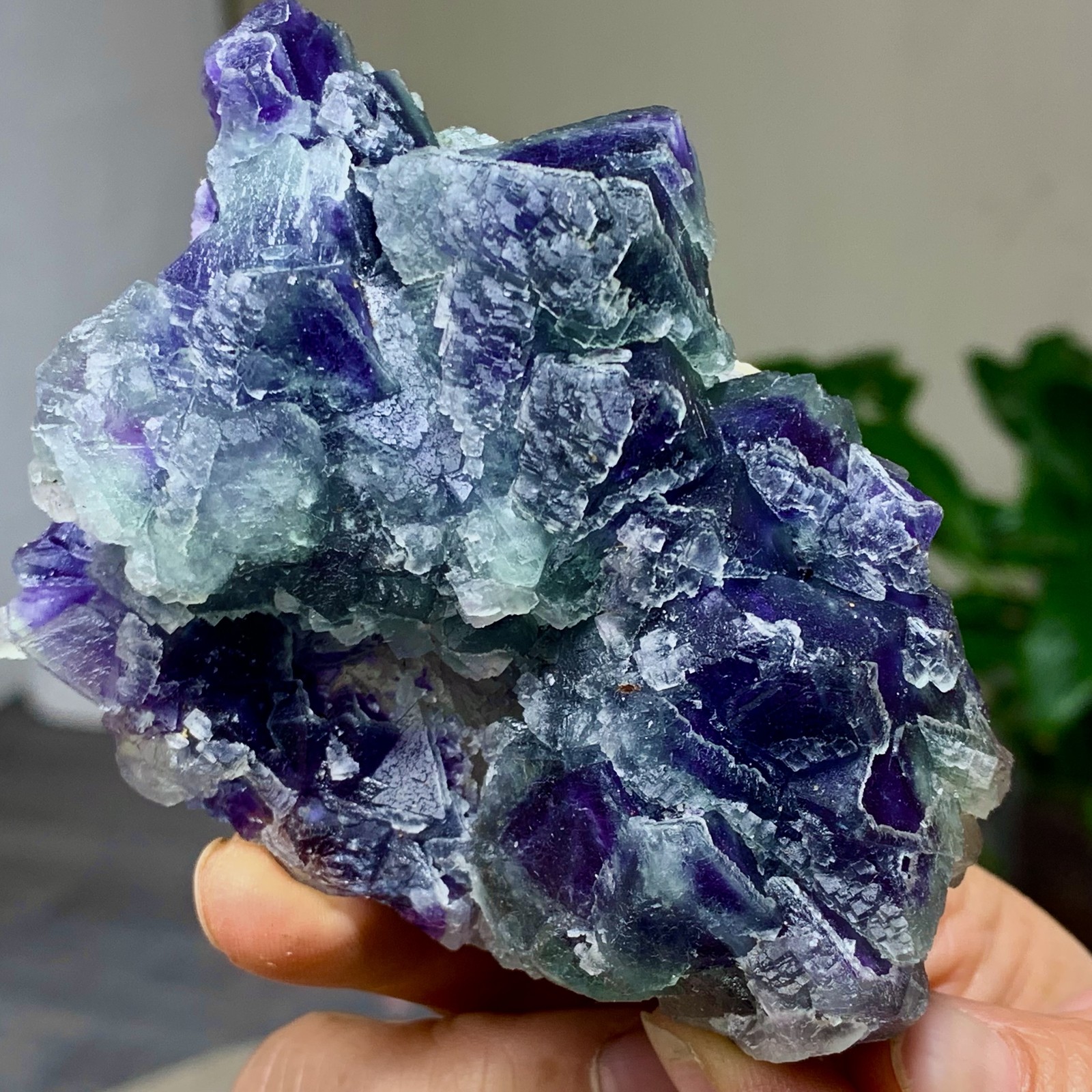 294G Rare transparent purple octahedron fluorite mineral crystal sample/China