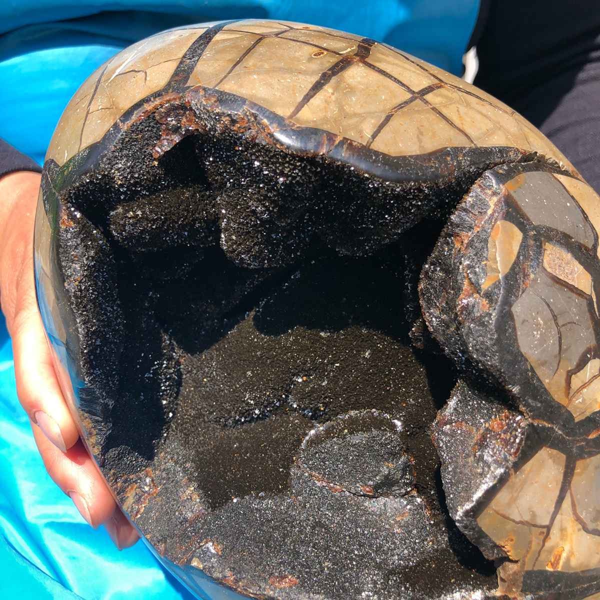 8070G Natural Turtle Back Stone Dragon Crystal Cave Crack Gem Healing 4335