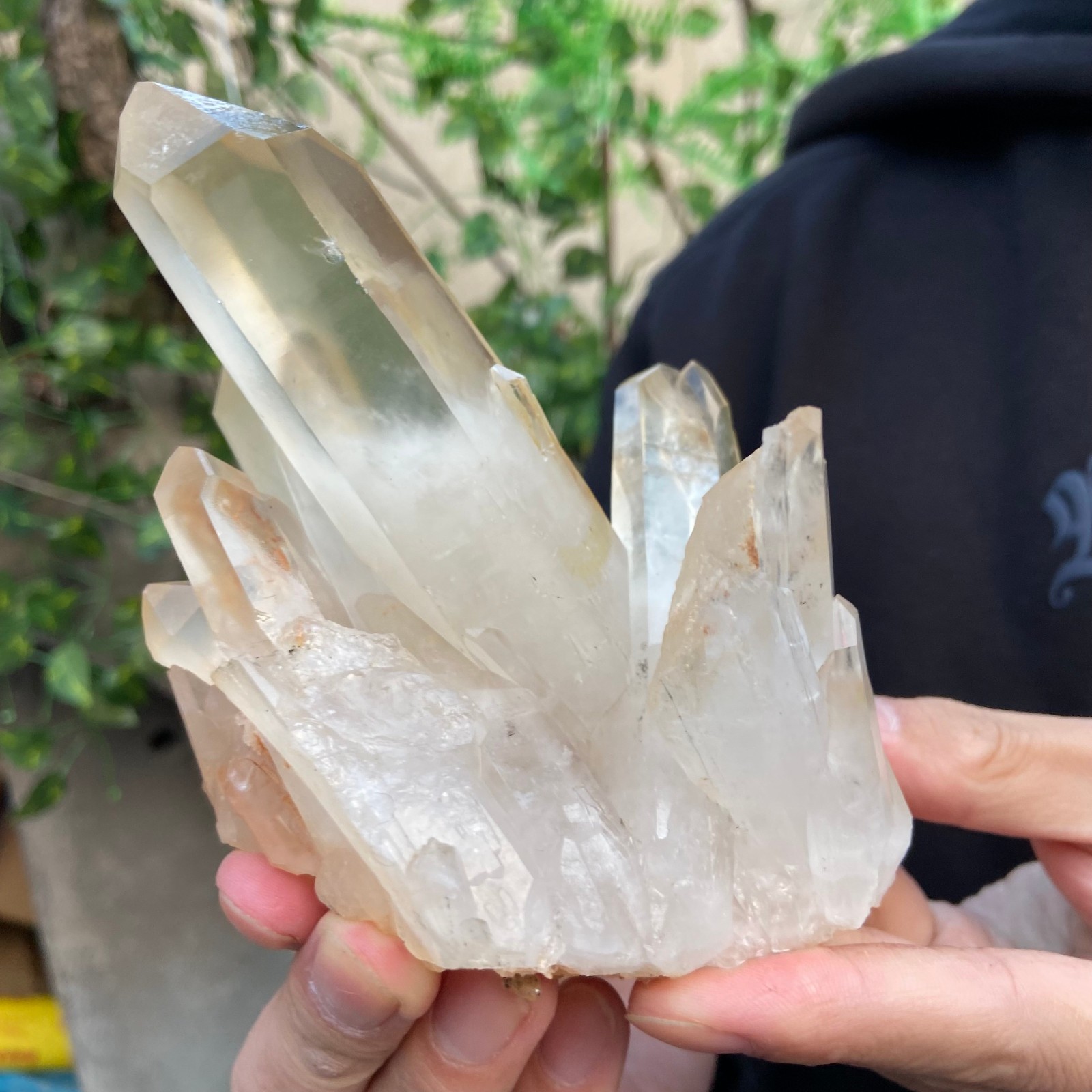 1.5lb Natural Clear White Quartz Crystal Cluster Rough Healing Specimen