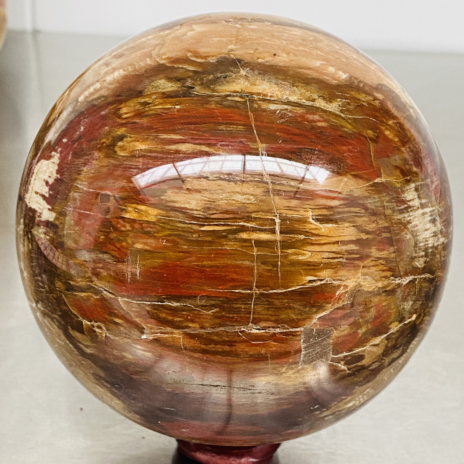 Natural Petrified Wood Polished Stone Quartz Crystal Sphere Ball Healing 2280G