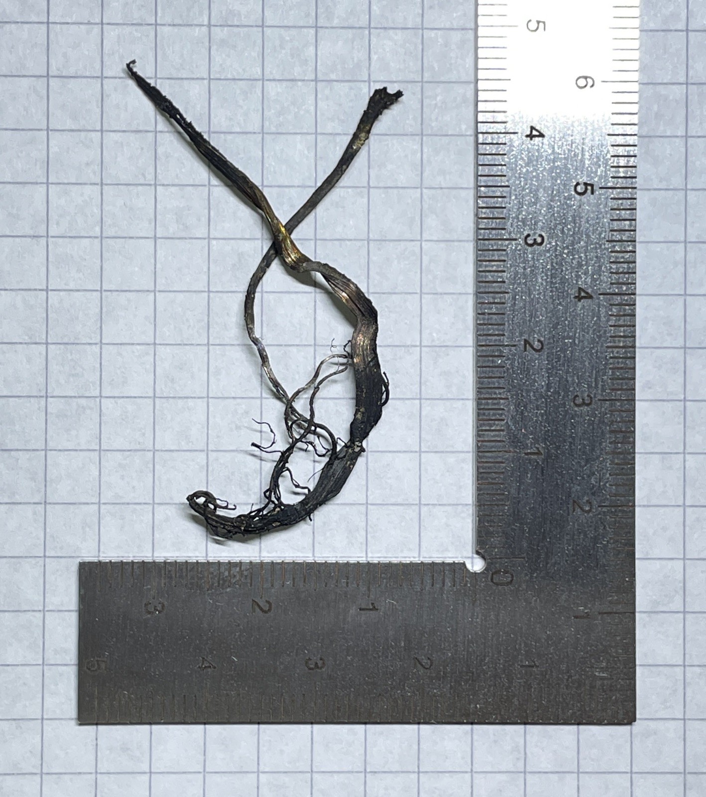 4.5 cm length Pure Silver Wires Specimen Mined In Shanxi China