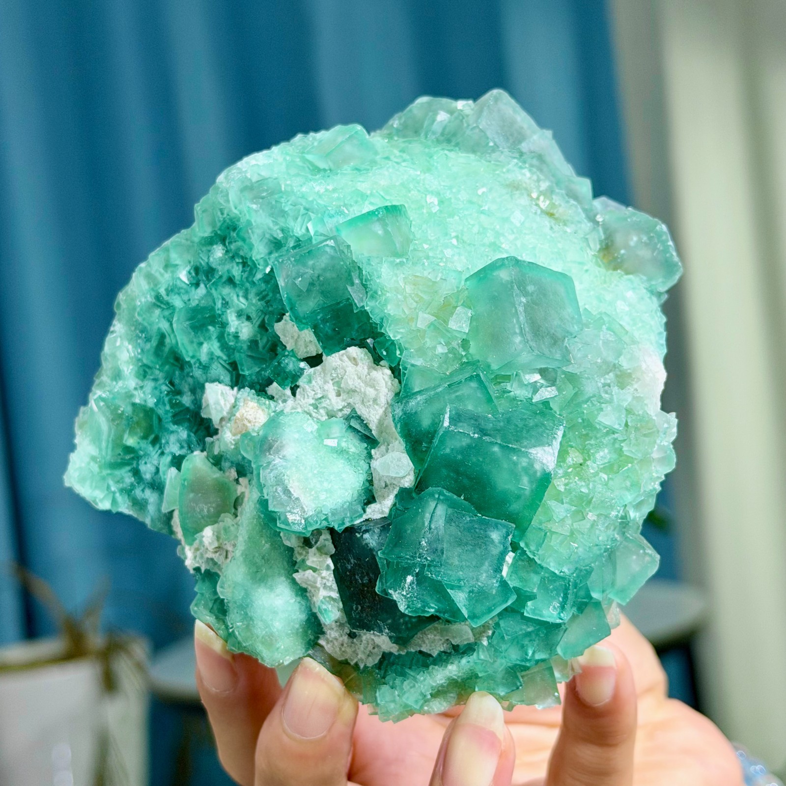 1.95LB Rare transparent green cubic fluorite mineral crystal sample/China