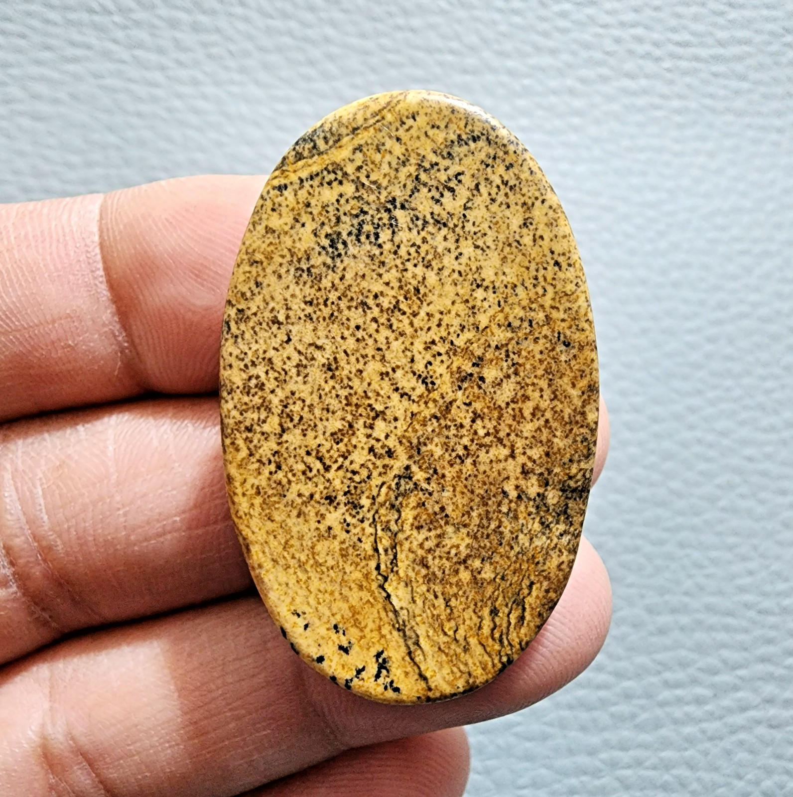 64ct Top Picture Jasper Cabochon Oval Gemstone – Natural Collector Jewelry Stone