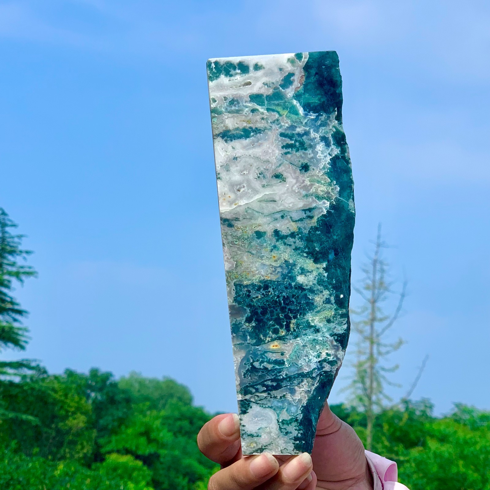 492G Natural Moss Agate Quartz Druzy Slice Extra Large Gemstone Specimen