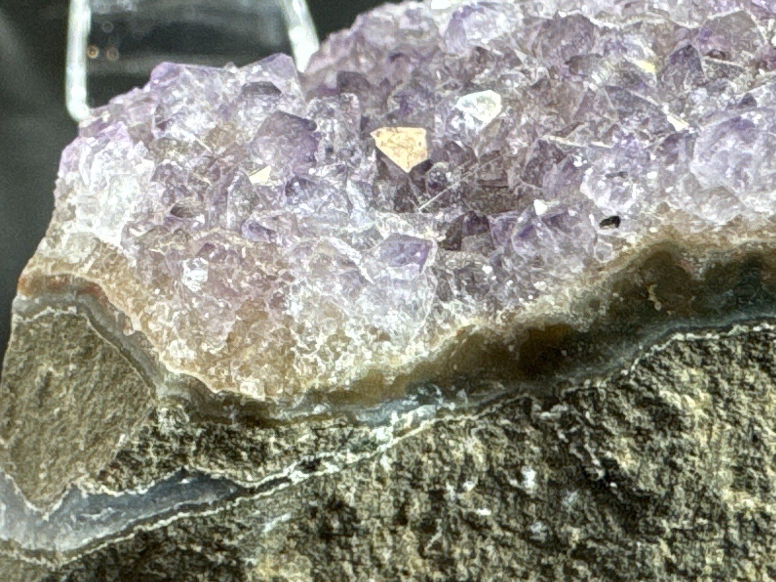 Natural Amethyst Collection Bundle: Trapiche Tumble, Cluster & Cabochon Crystals