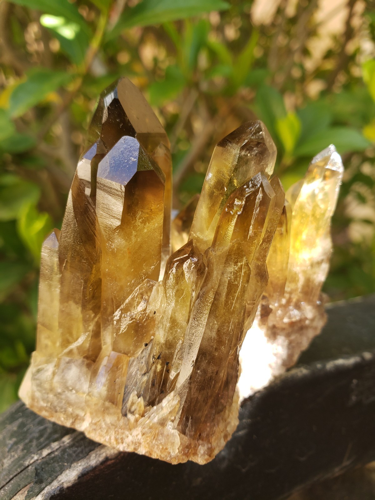 2.75″ Natural Smoky Citrine Quartz Crystal Cluster Mineral Specimen, 198g or 7oz
