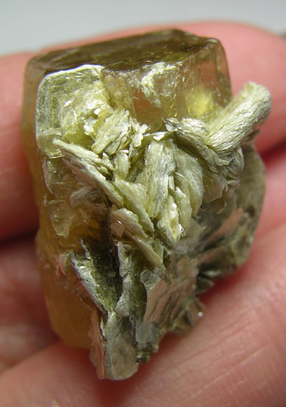 60.00ct Pakistan Terminated Heliodor Crystal in Mica Cluster Specimen 12.0g 22mm