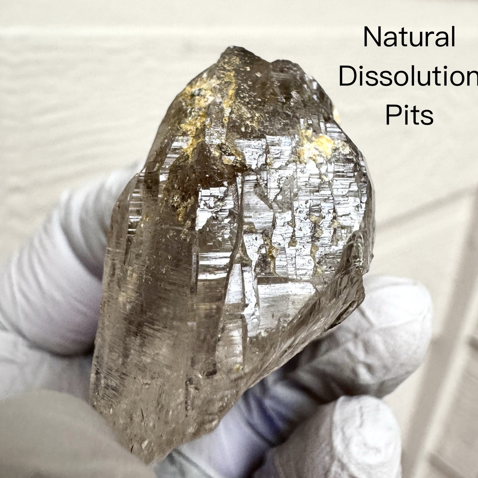 “The Gilded Summit” Ganesh Himalayan Quartz Smoky-Grey Basin Termination Crystal