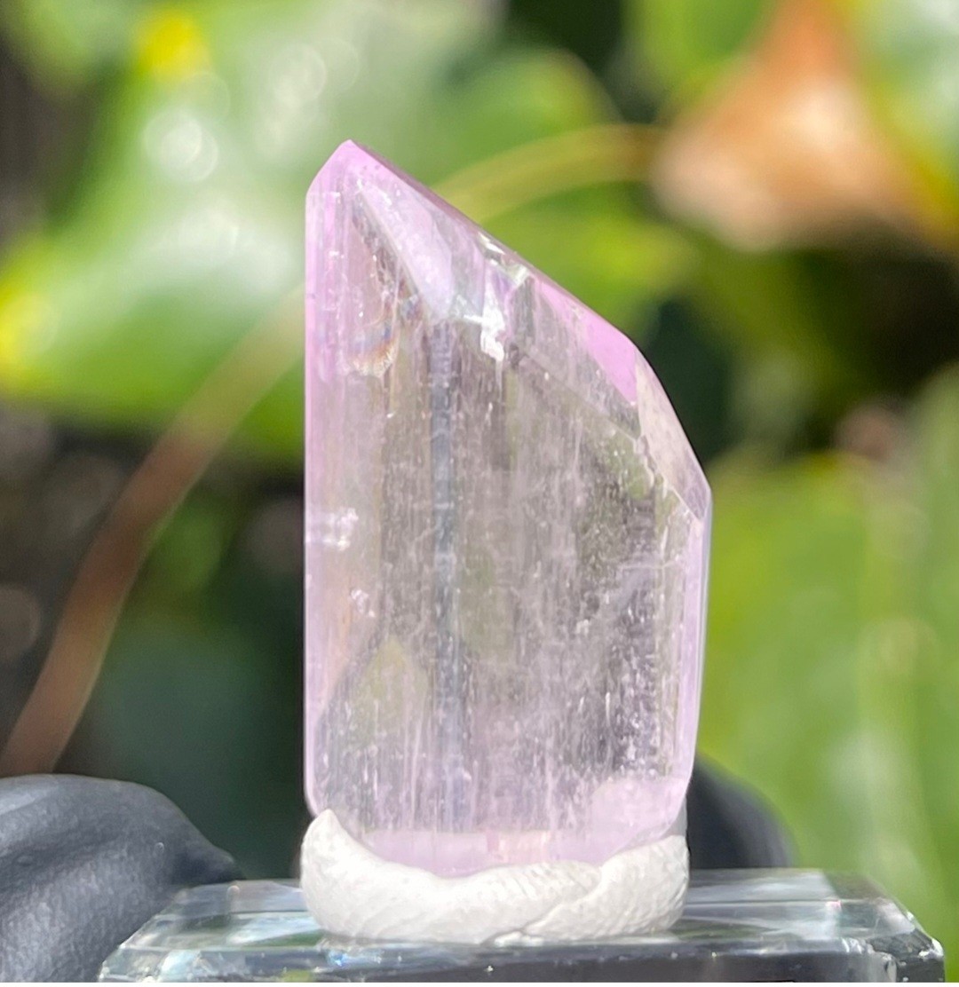 Kunzite Gemstone Full Polish AAA High Quality 6.4 Grams 1″ Tall UV Reactive