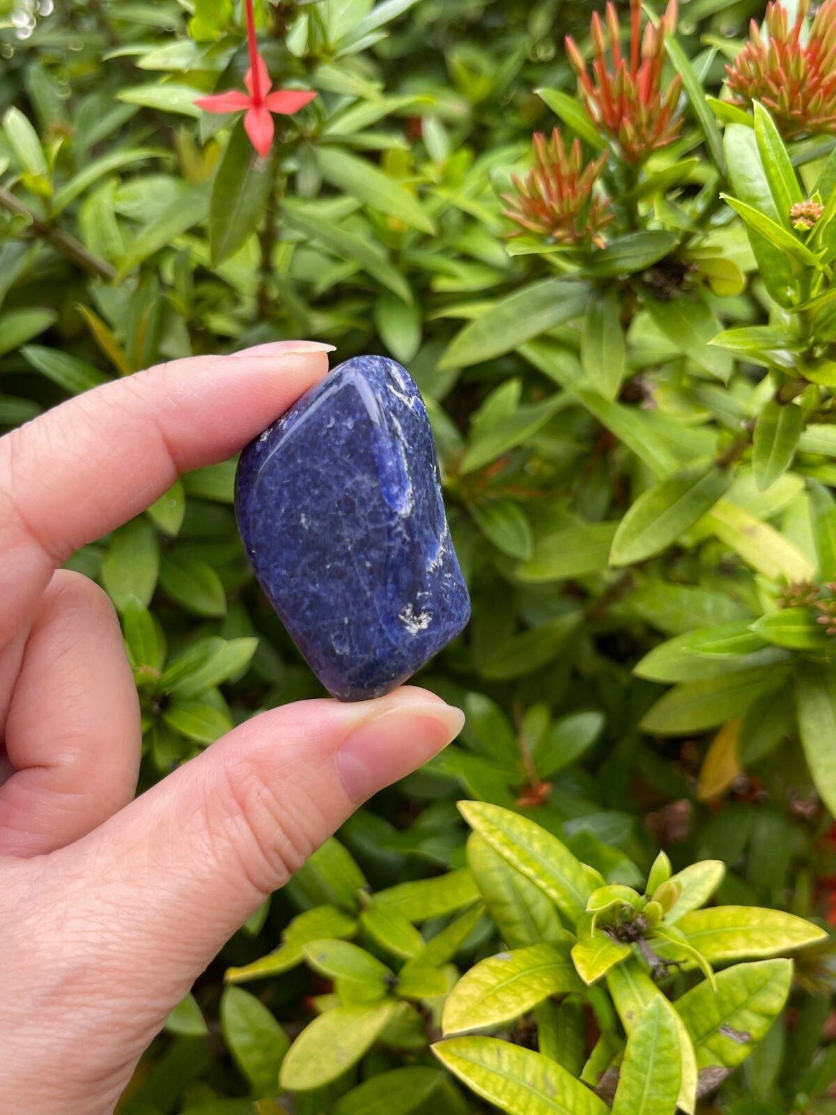 Grade A++ Sodalite Tumbled Stone, 0.8-1.25″ Tumbled Sodalite Stone,Pick a Weight