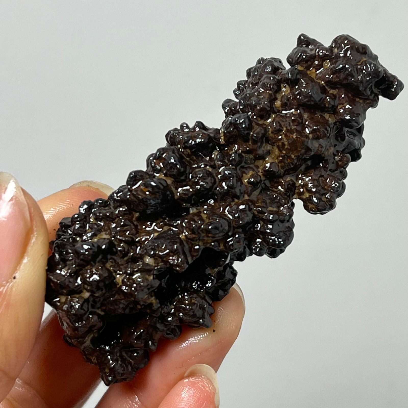 80g Limonite & Hematite pseudomorph after Marcasite – Prophecy Stone d22