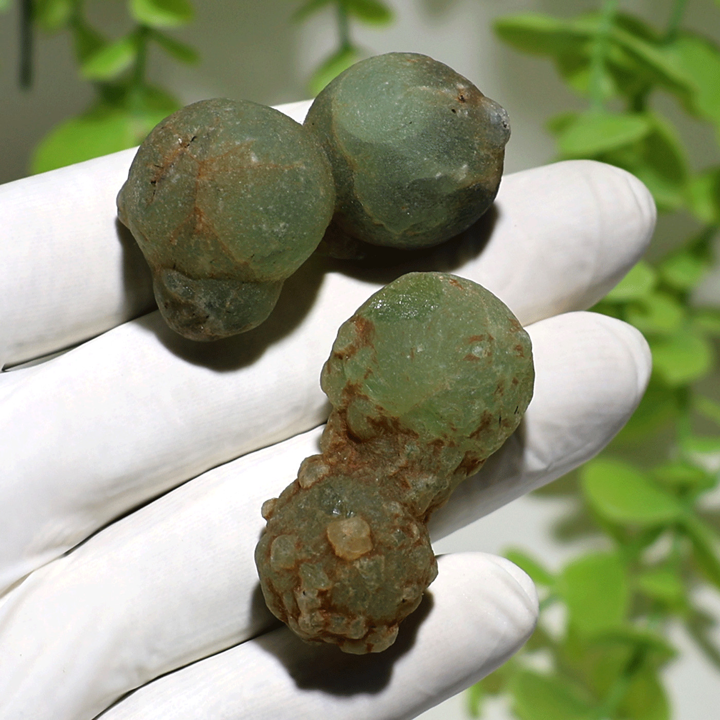 Earth’s Geometry~ 2 PC Ancient Orbs Of Prehnite Rare Mineral Crystal Specimens