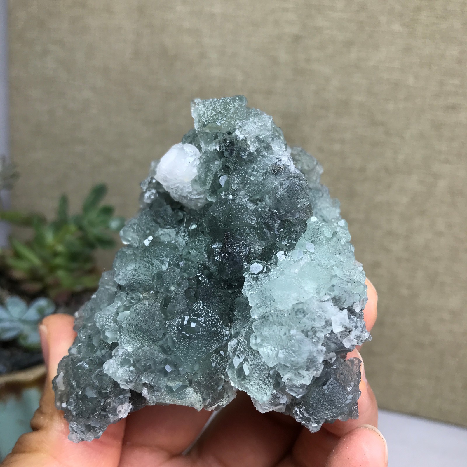 141g NATURAL Green Cubic FLUORITE paragenesis Crystal Cluster Specimen A4783