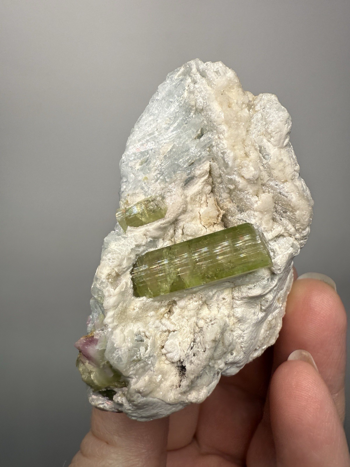 Watermelon Tourmaline on Matrix | Collector Mineral Specimen | Pakistan