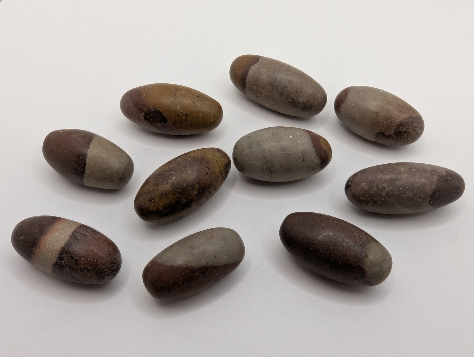 Lot of 10 Shiva Lingam Stones Small 1″- 1.2″ (Shiva Lingham Narmada River India)