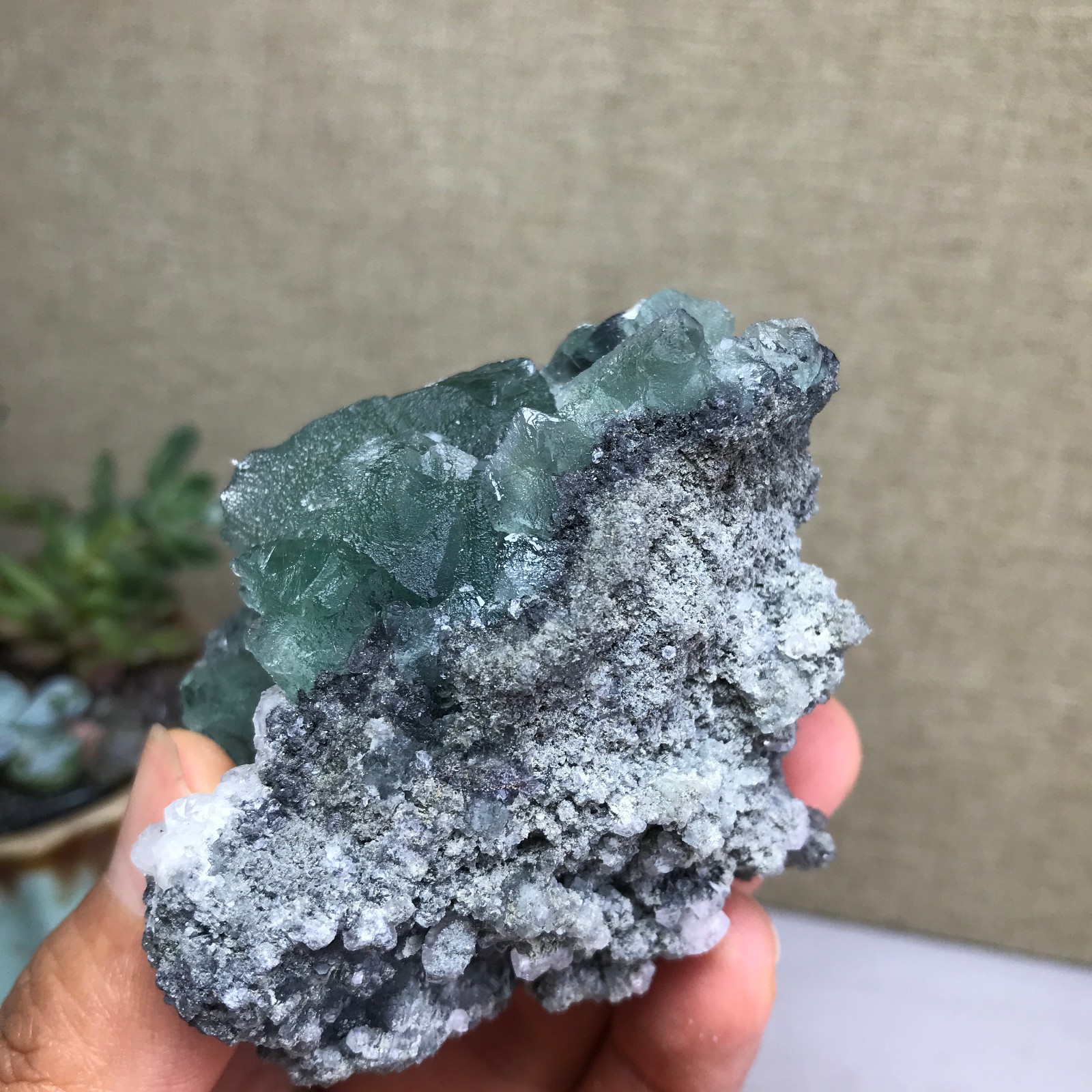 215g NATURAL Green Cubic FLUORITE paragenesis Crystal Cluster Specimen A4777