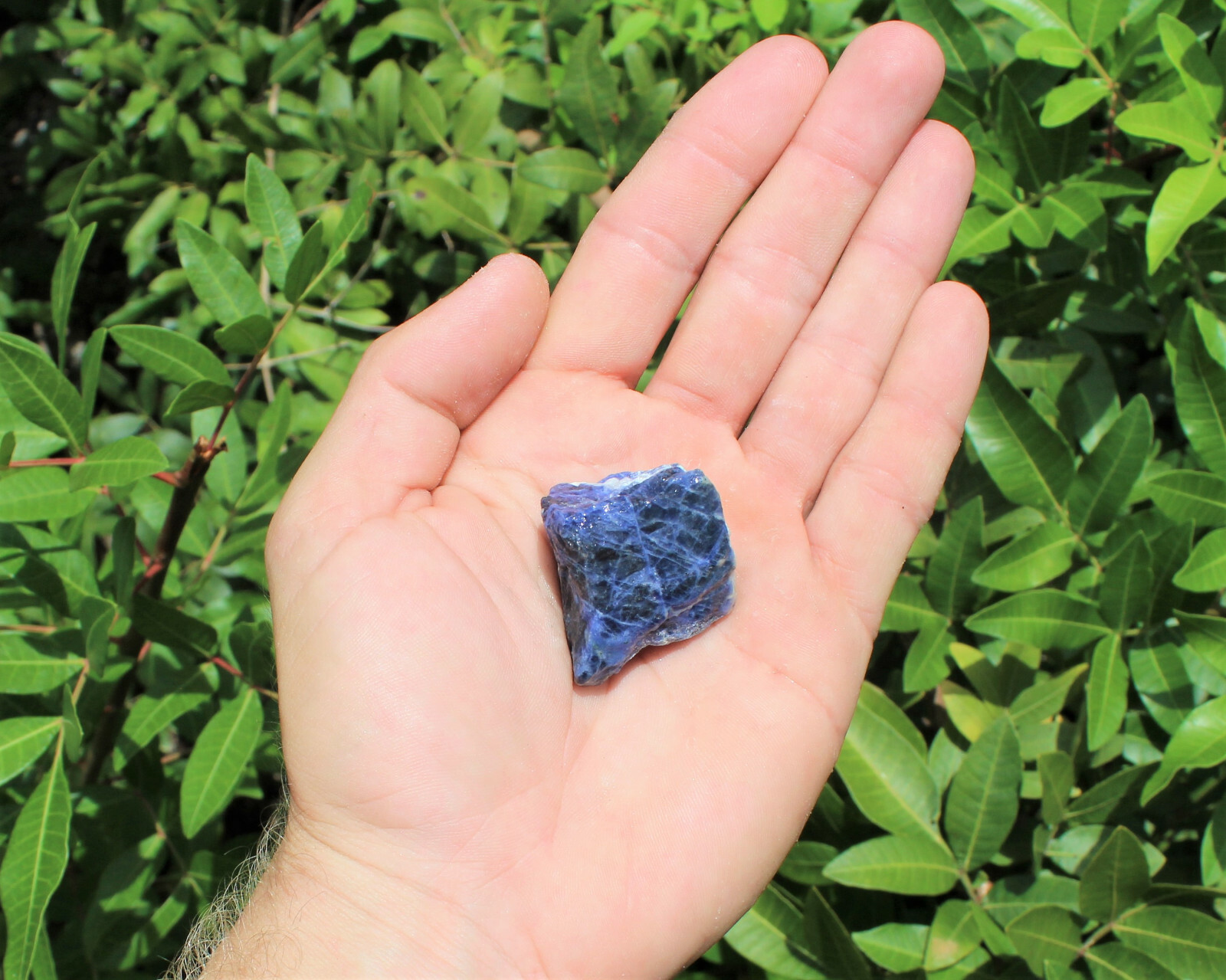 1 Single Blue Natural Rough Sodalite Raw Crystal Gemstone Specimen Reiki Healing