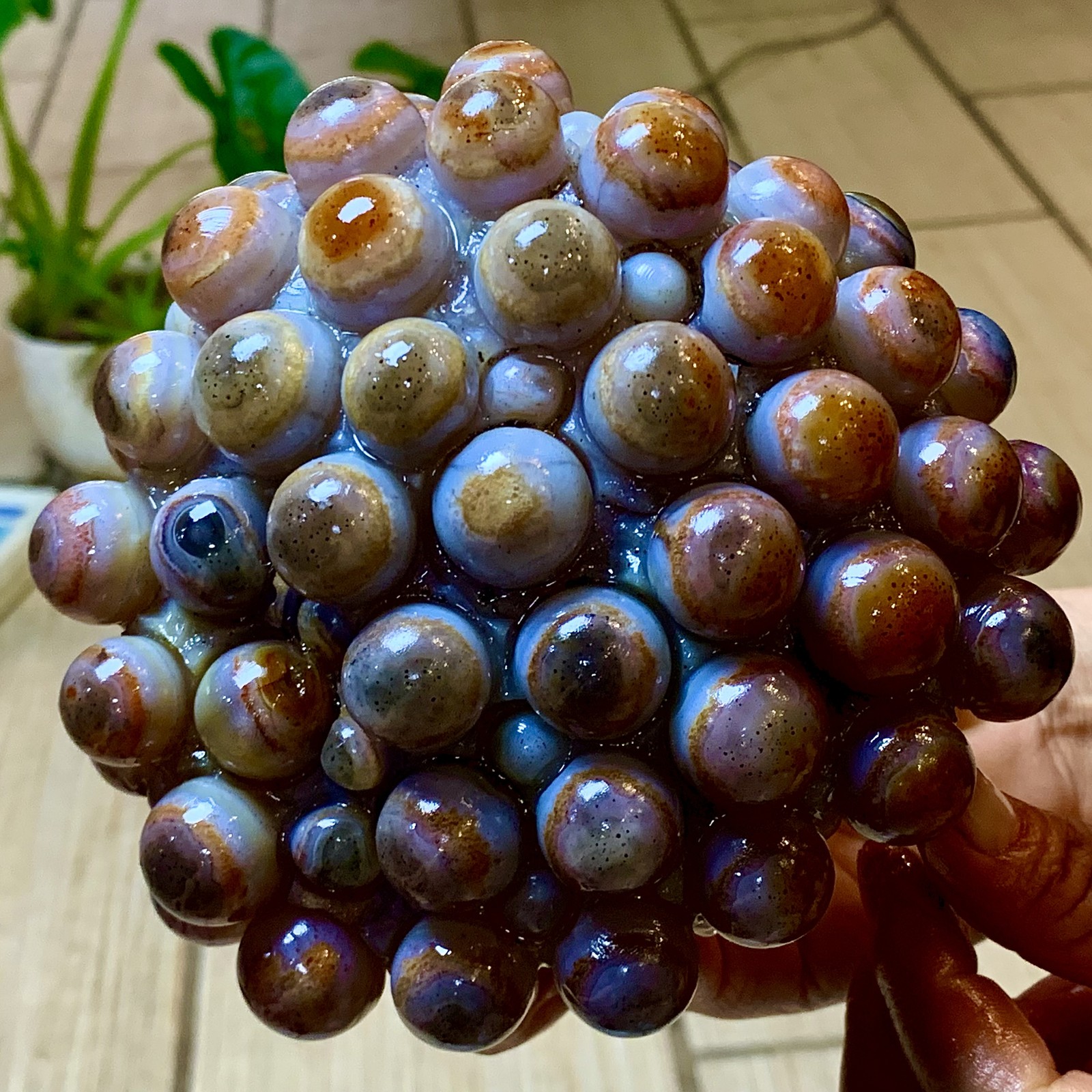 2.24LB Natural Gobi Agate Eye Agate grape shape Crystal Madagascar mineral