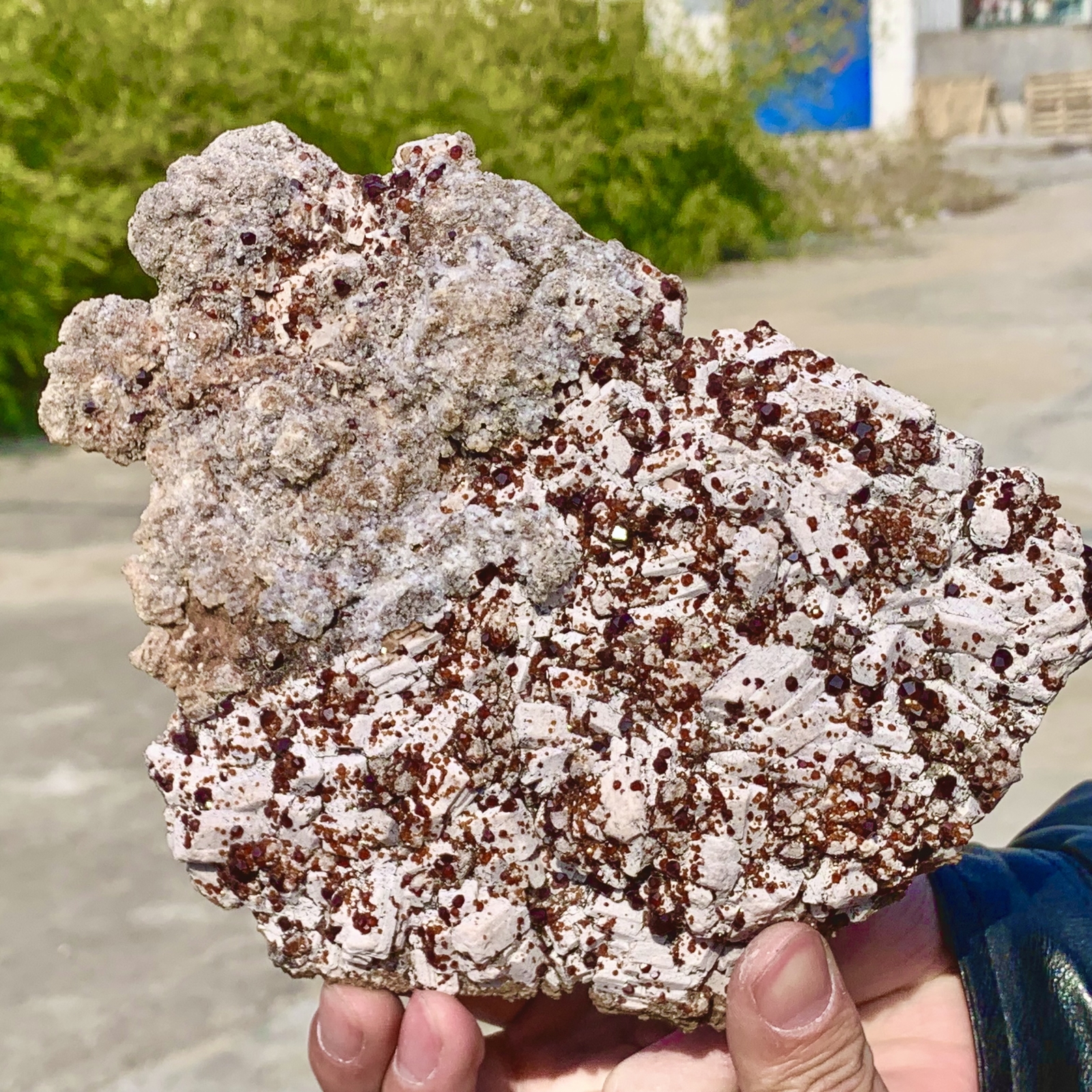 1.11LB Natural Dark Red Garnet QuartzCrystal Rough Mineral Specimen