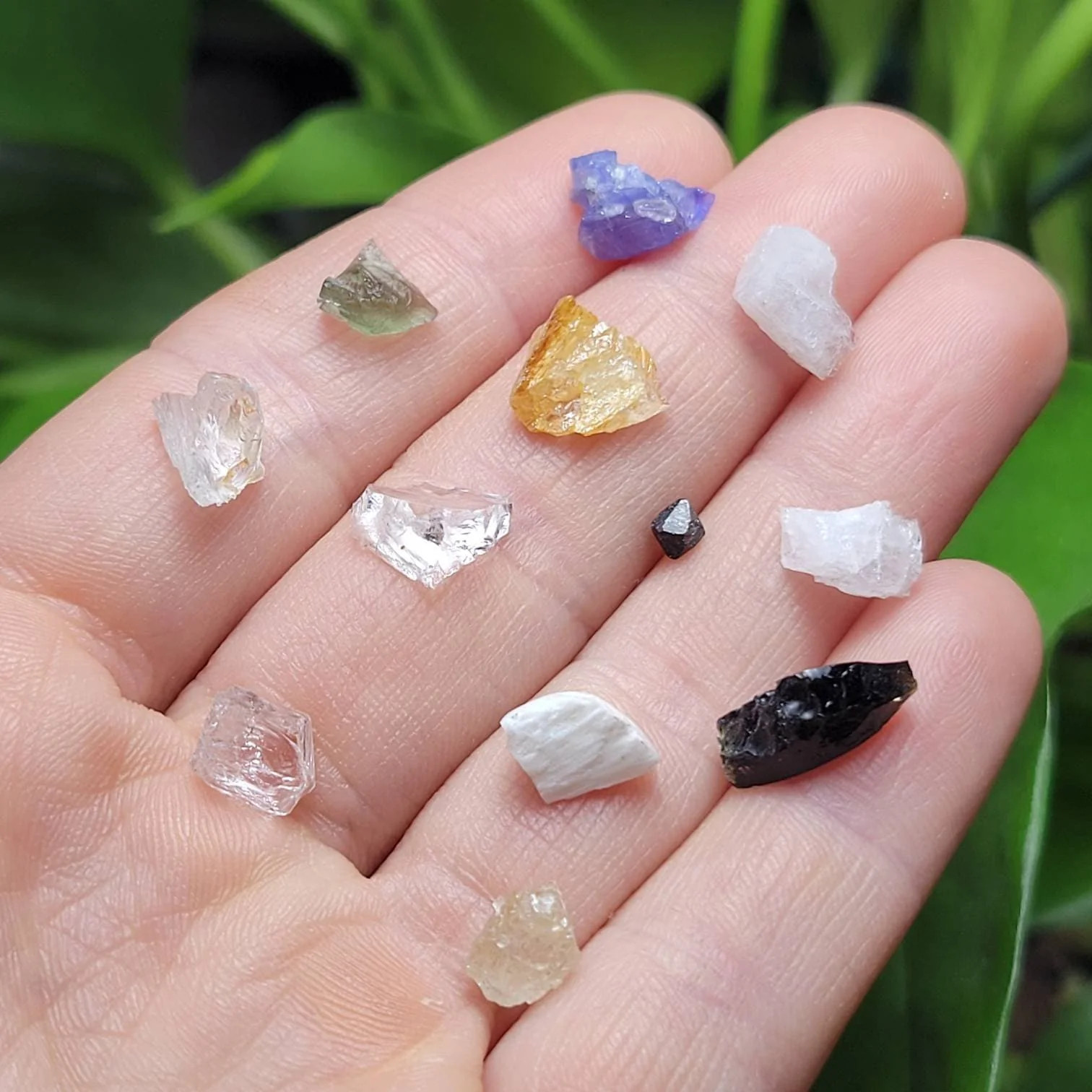 Synergy 12 Set, Rare Crystal Collection