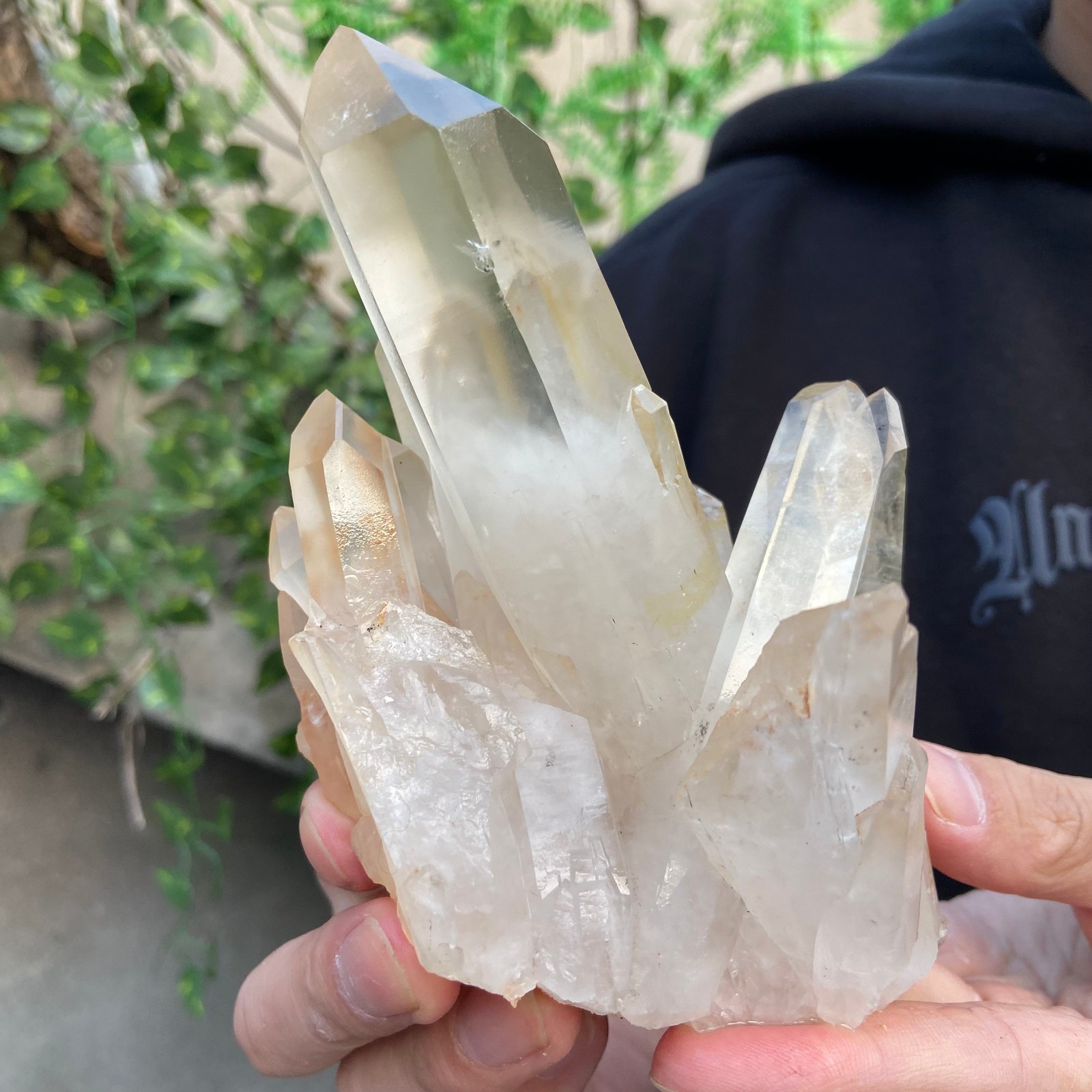 1.5lb Natural Clear White Quartz Crystal Cluster Rough Healing Specimen