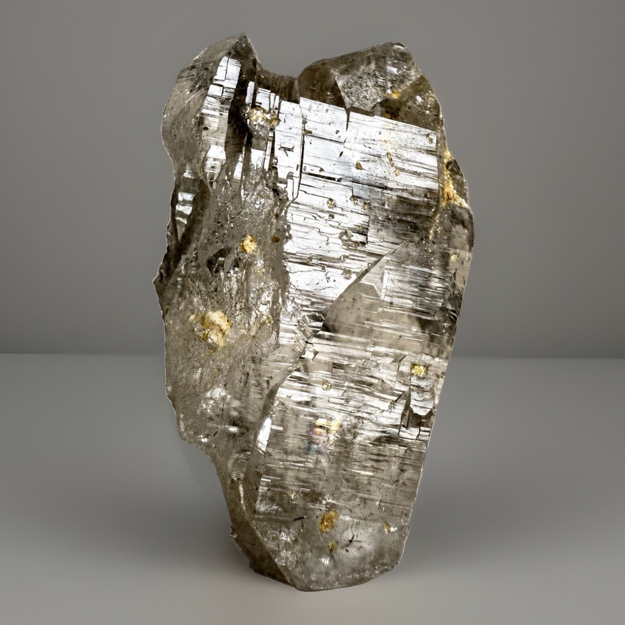 “The Gilded Summit” Ganesh Himalayan Quartz Smoky-Grey Basin Termination Crystal