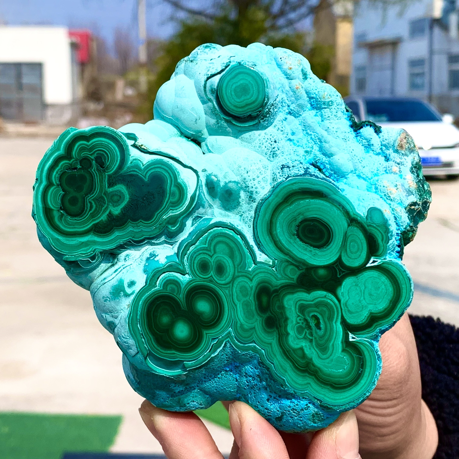 1.92LB Natural Chrysocolla/Malachite transparent cluster rough mineral sample