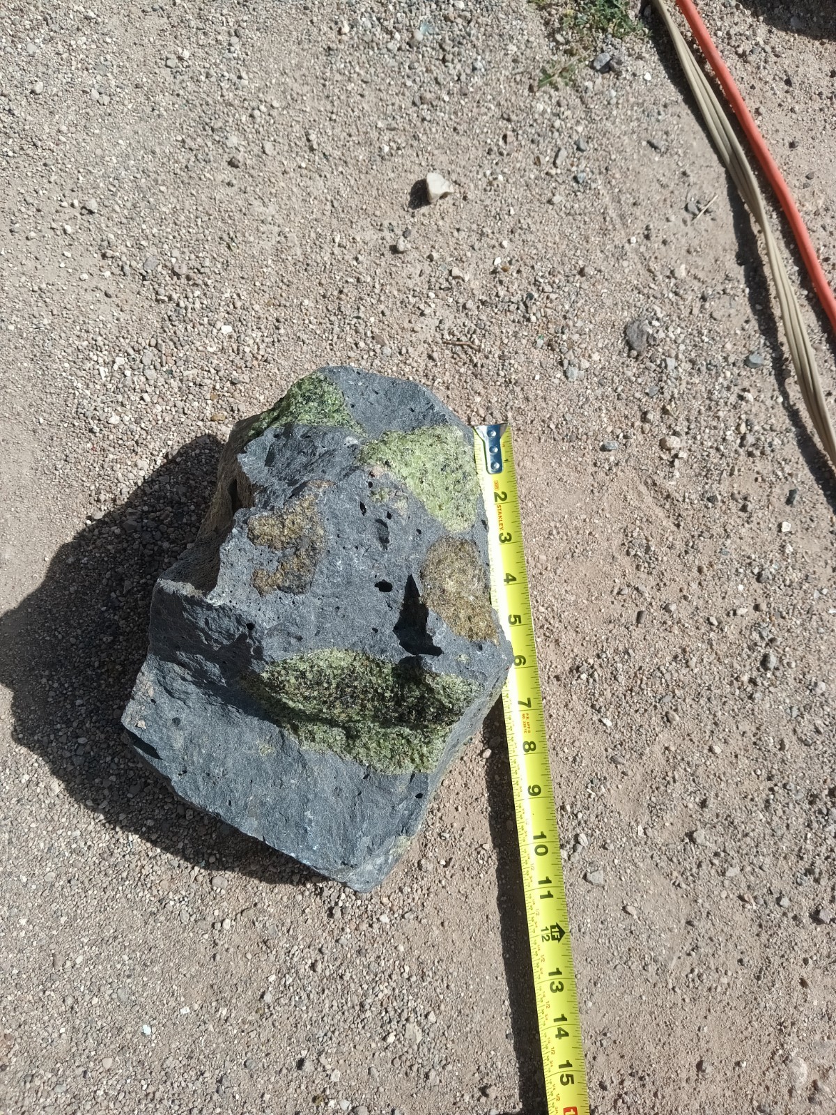 Big San Carlos Apache Res, AZ Peridot Phenacrist Crystals in Basalt 24lbs 8oz