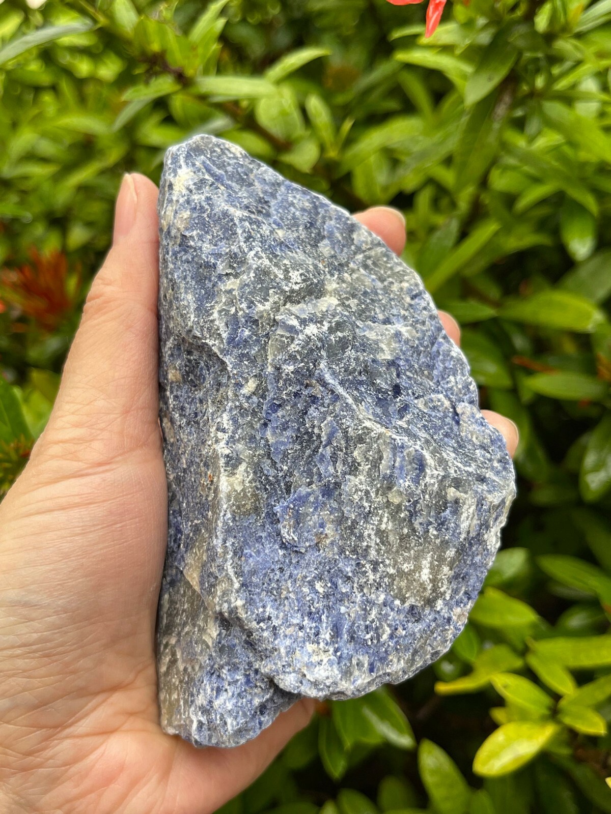 Large Sodalite Rough Natural Stones, 3″-4″ Raw Sodalite Stones, Pick A Weight