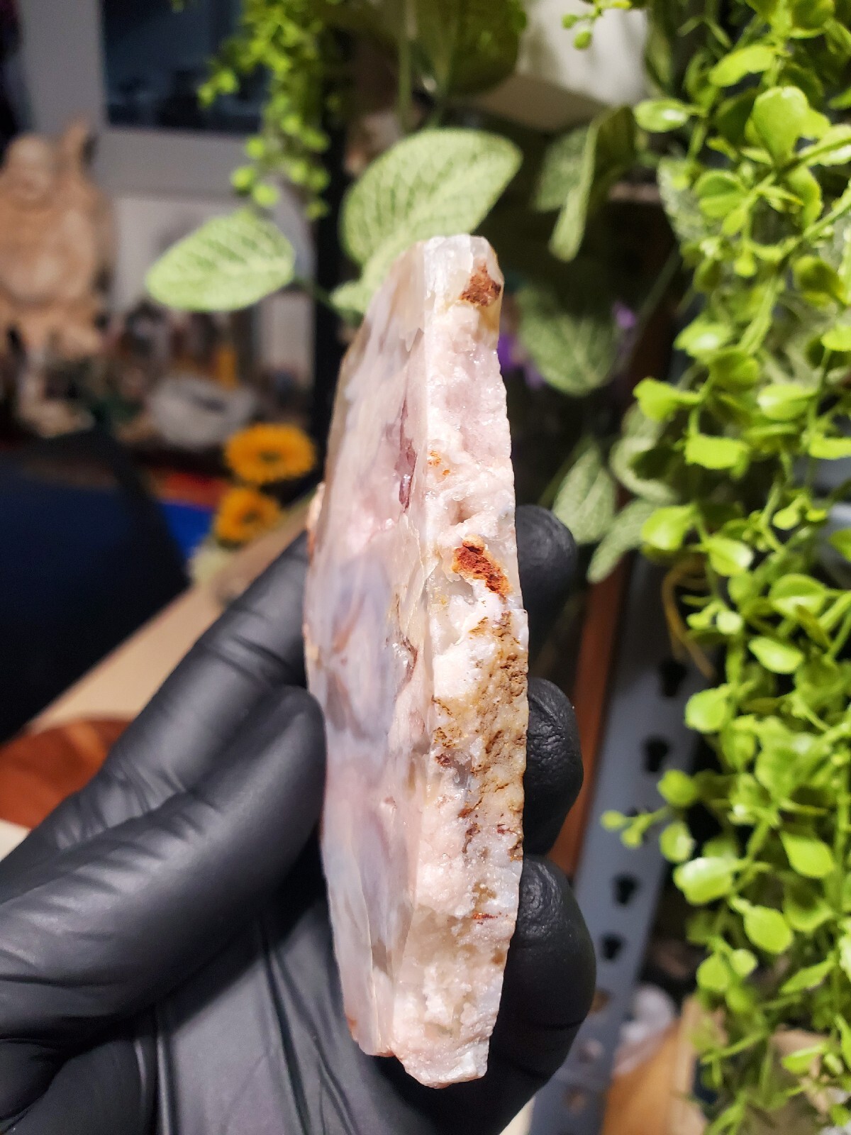 124g Beautiful Flower Agate Slice Slab Crystal Quartz Energy Healing Crystal