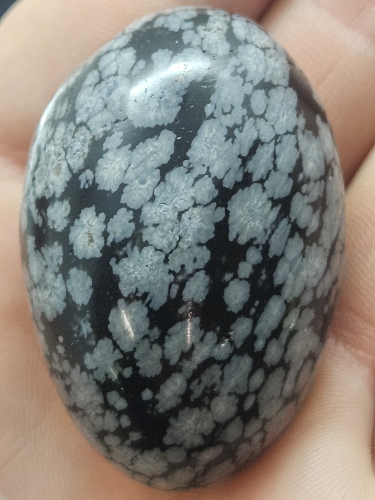 Natural Snowflake Obsidian Pocket Stone Polished Oval Palm Stone High Contrast