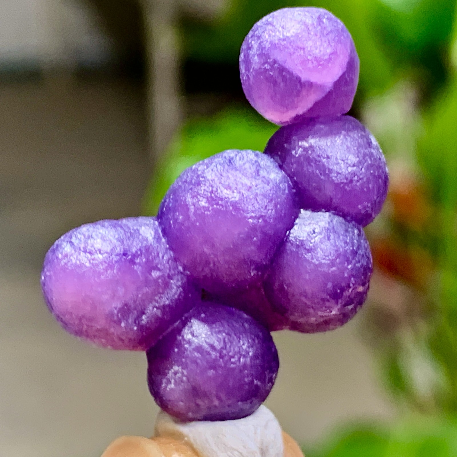 5G Natural purple grape agate quartz crystal granular mineral specimen